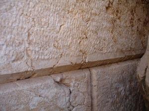 ������������� �����������