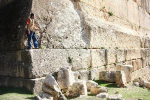 ������������� �����������