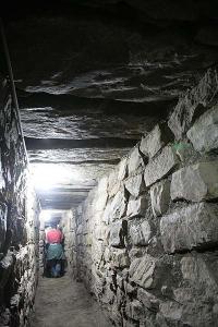 ������������� �����������