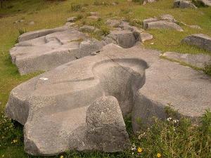 ������������� �����������