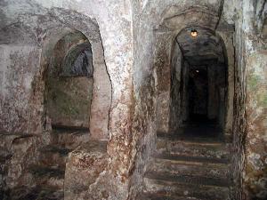 ������������� �����������