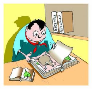 ������������� �����������