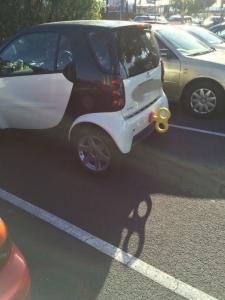 ������������� �����������