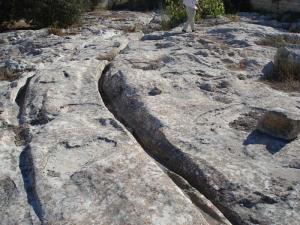 ������������� �����������