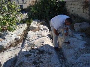 ������������� �����������