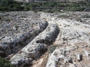 ������������� �����������