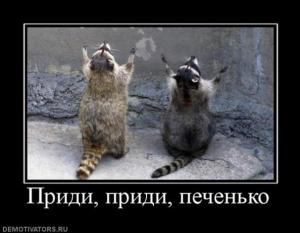 ������������� �����������