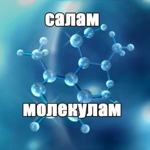 ������������� �����������